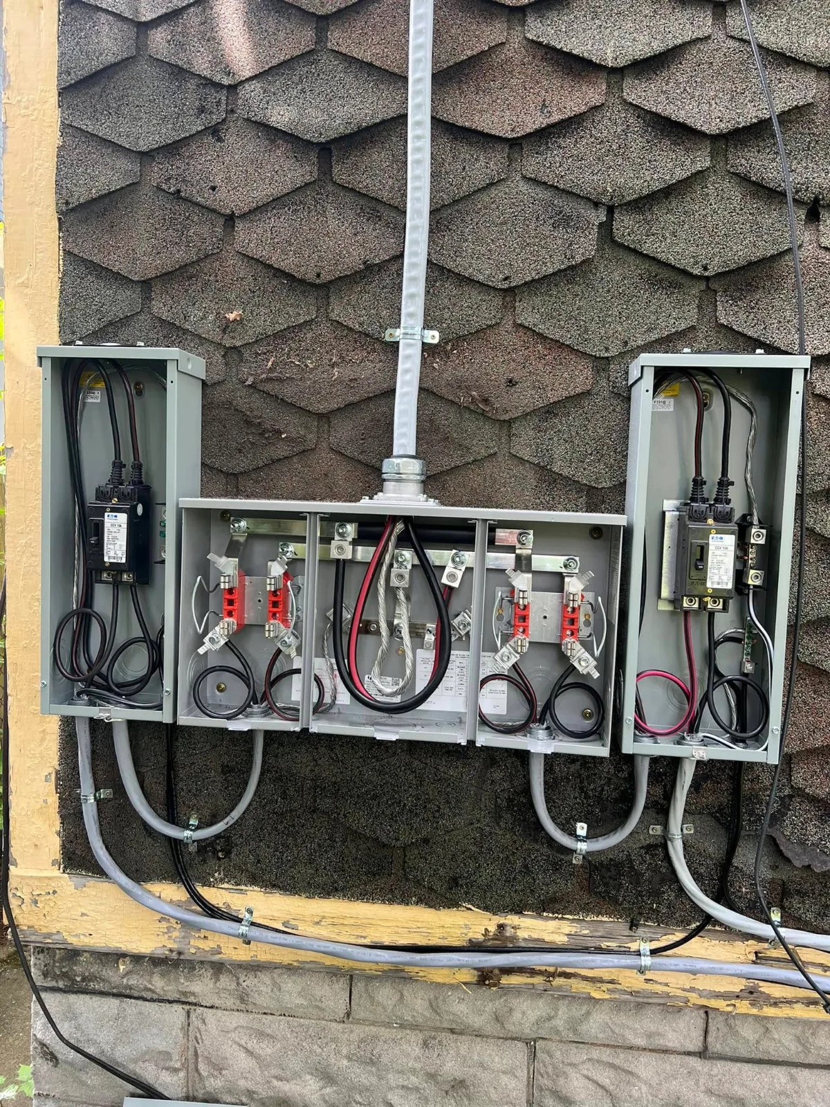 Palmeroni Electric, photo 3