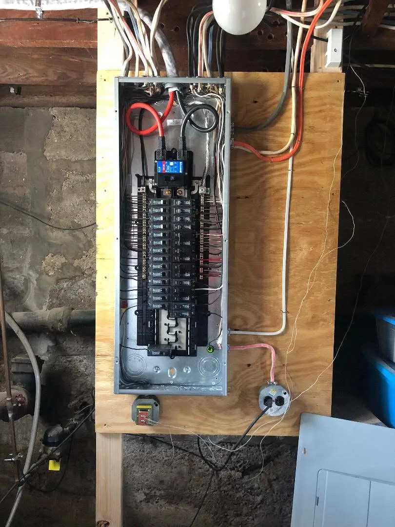 Palmeroni Electric, photo 6